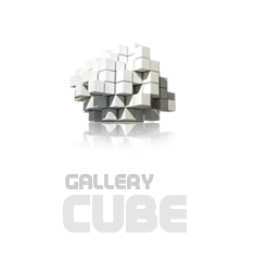 Gallerycube Open